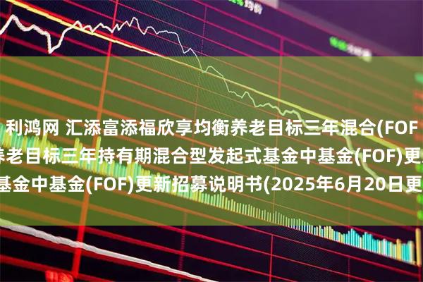 利鸿网 汇添富添福欣享均衡养老目标三年混合(FOF: 汇添富添福欣享均衡养老目标三年持有期混合型发起式基金中基金(FOF)更新招募说明书(2025年6月20日更新)