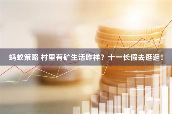 蚂蚁策略 村里有矿生活咋样？十一长假去逛逛！